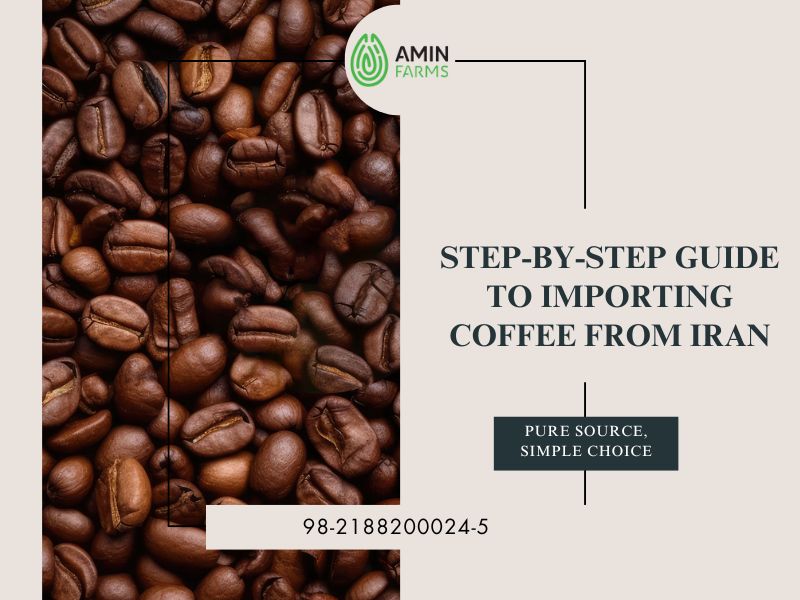 Step-by-Step Guide to Importing Coffee from Iran