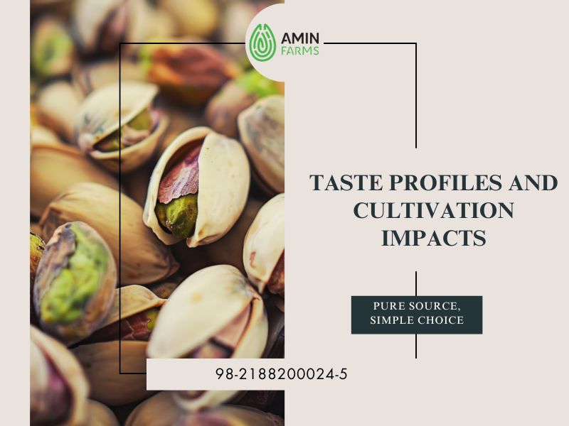 Taste Profiles and Cultivation Impacts