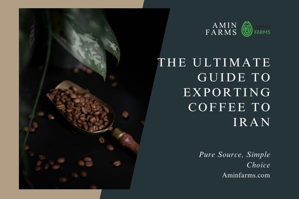 The Ultimate Guide to Exporting Coffee to Iran