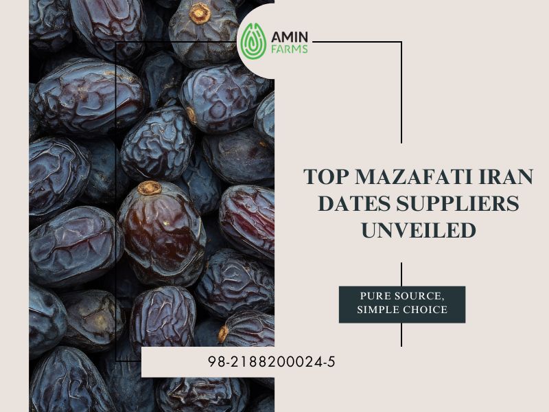 Top Mazafati Iran Dates Suppliers Unveiled