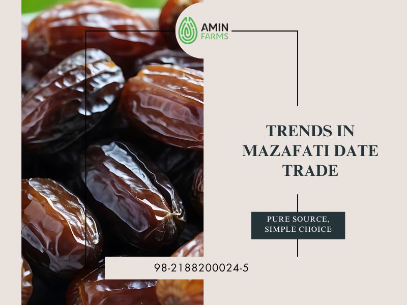 Trends in Mazafati Date Trade