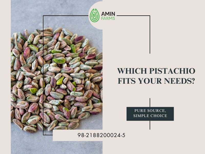 Which Pistachio Fits Your Needs