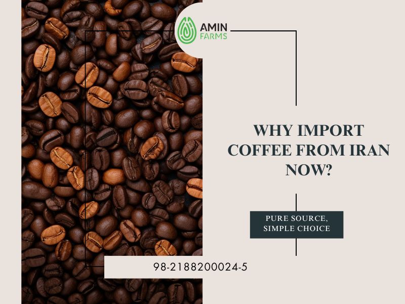 Why Import Coffee from Iran Now