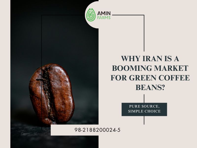 Why Iran is a Booming Market for Green Coffee Beans