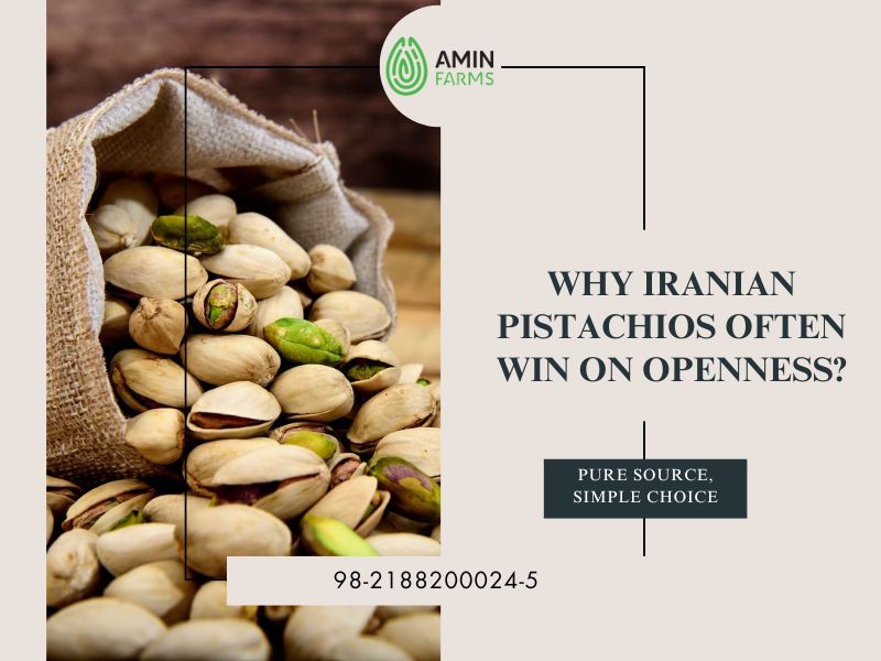 Why Iranian Pistachios Often Win on Openness