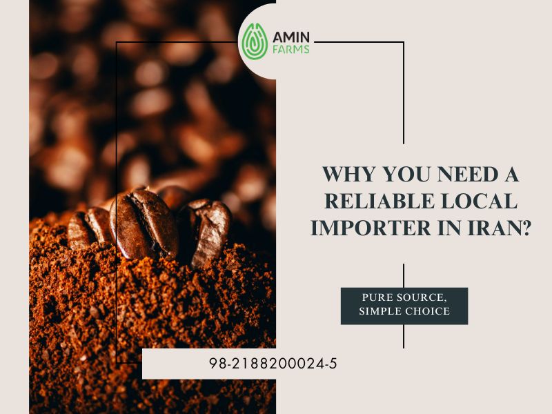Why You Need a Reliable Local Importer in Iran