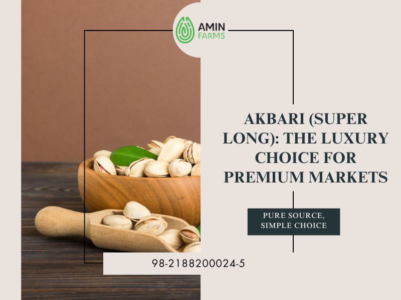 Akbari (Super Long) The Luxury Choice for Premium Markets