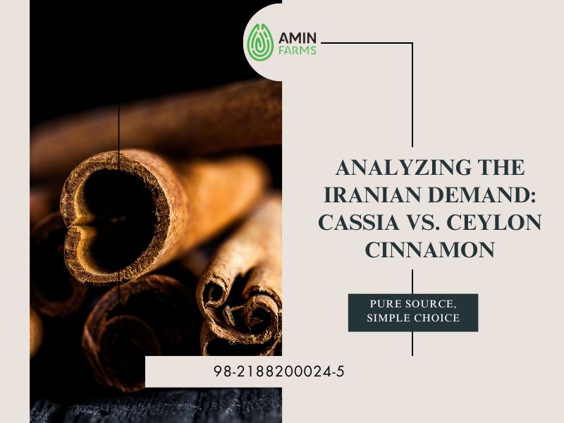 Analyzing the Iranian Demand Cassia vs. Ceylon Cinnamon