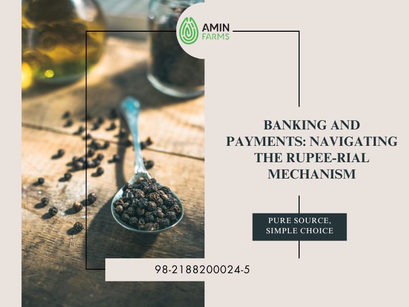 Banking and Payments Navigating the Rupee-Rial Mechanism