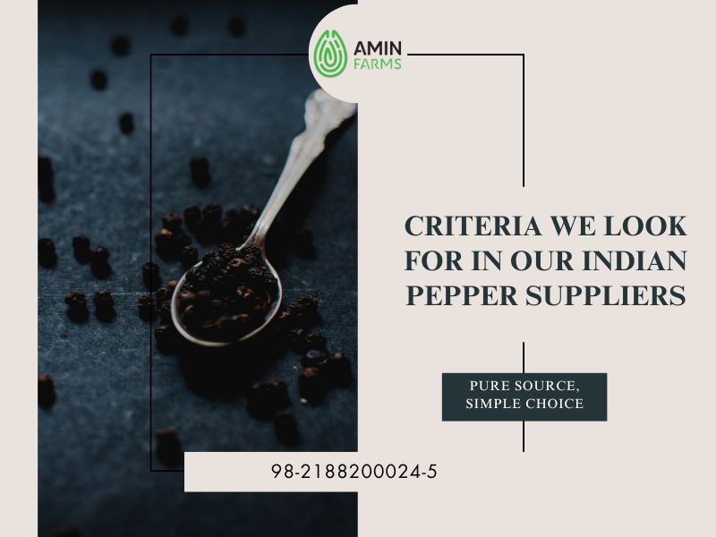 Criteria We Look for in Our Indian Pepper Suppliers