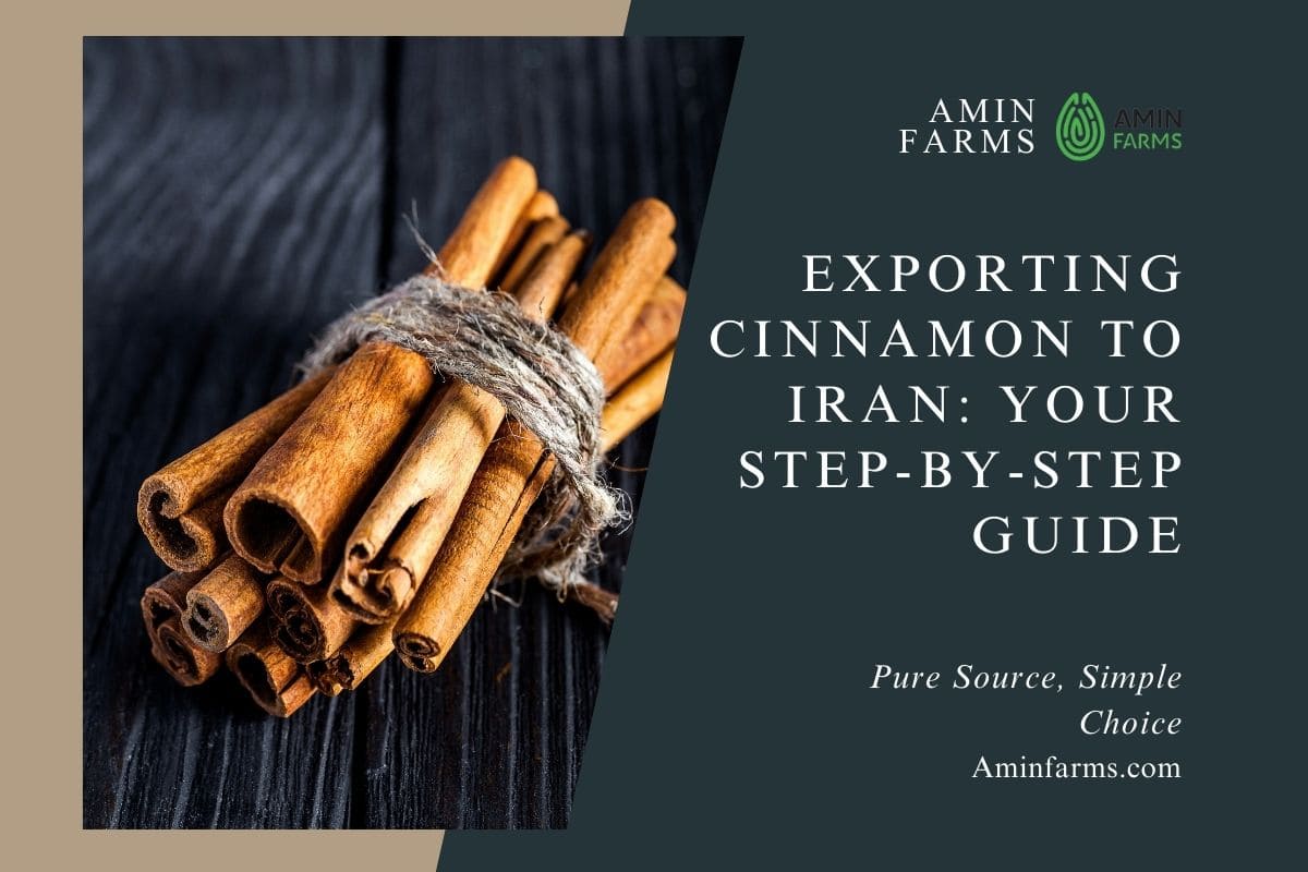 Exporting Cinnamon to Iran