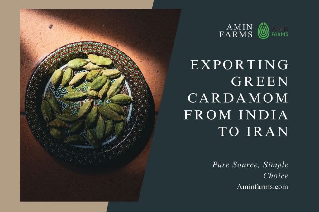 Exporting Green Cardamom from India to Iran