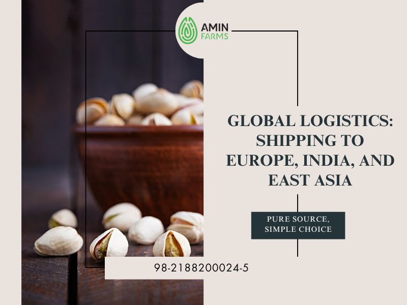 Global Logistics Shipping to Europe, India, and East Asia