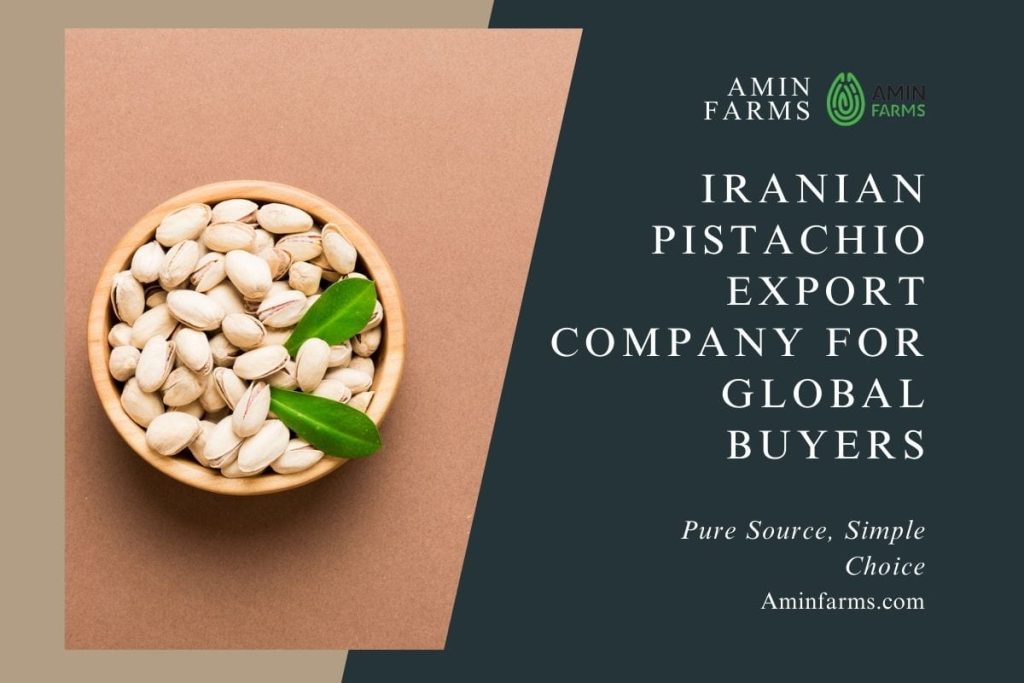 Iranian Pistachio Export Company for Global Buyers