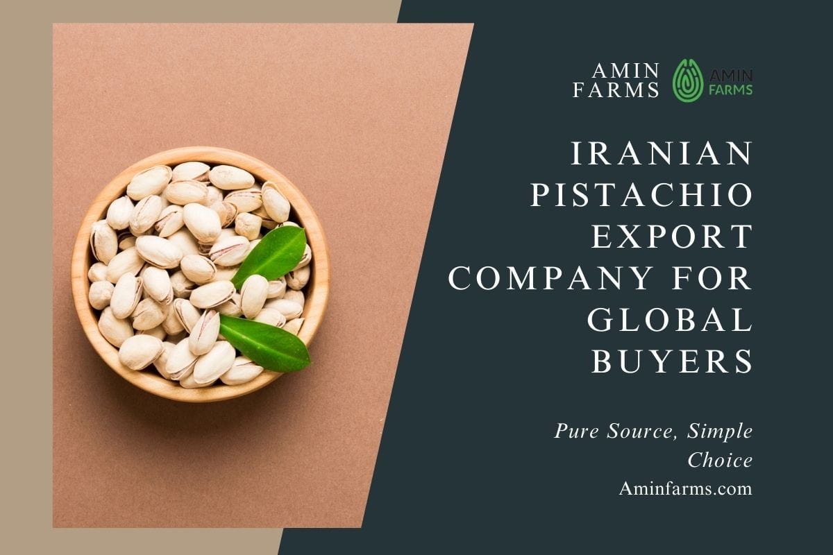 Iranian Pistachio Export Company for Global Buyers
