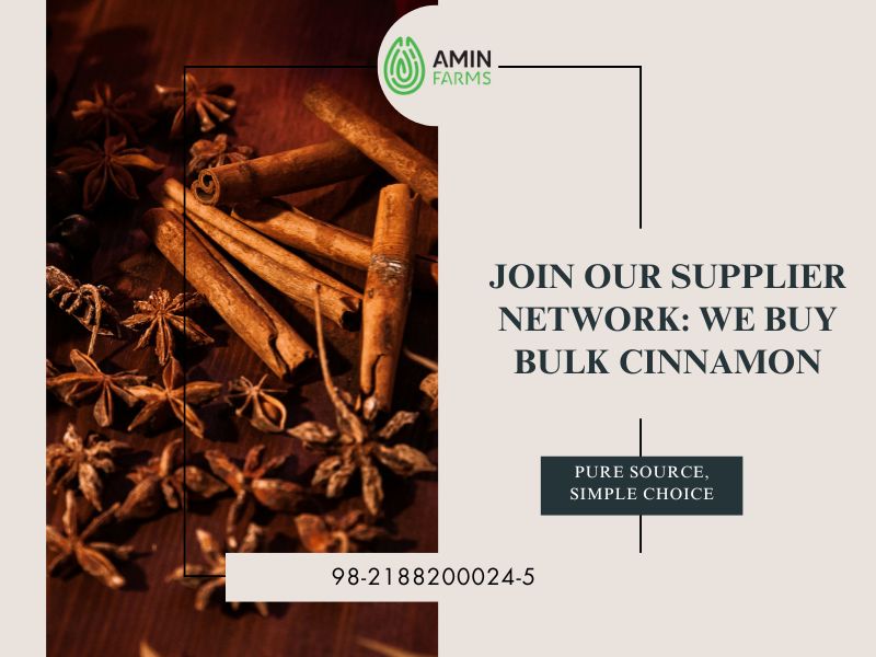 Join Our Supplier Network We Buy Bulk Cinnamon