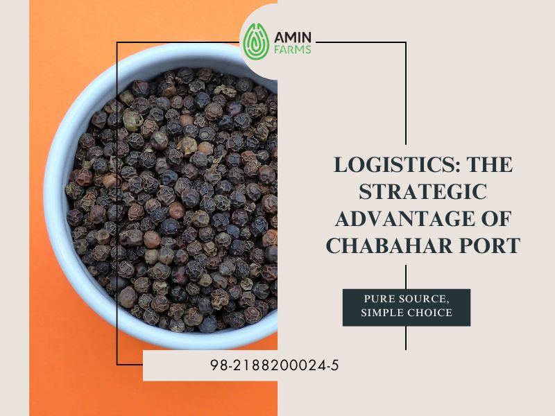 Logistics The Strategic Advantage of Chabahar Port