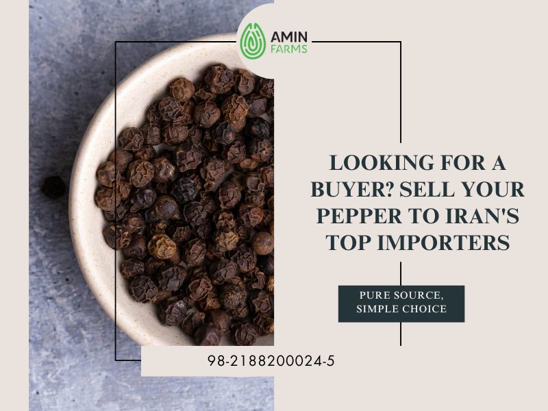 Looking for a Buyer Sell Your Pepper to Iran's Top Importers