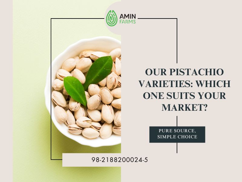 Our Pistachio Varieties Which One Suits Your Market