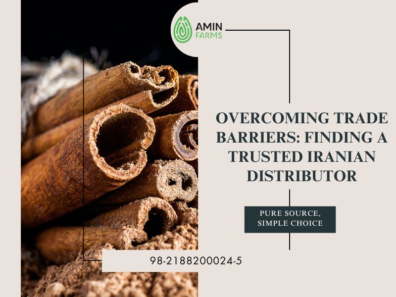 Overcoming Trade Barriers Finding a Trusted Iranian Distributor