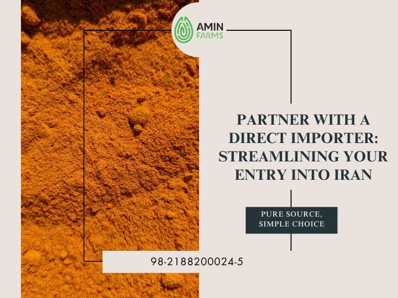 Partner with a Direct Importer Streamlining Your Entry into Iran