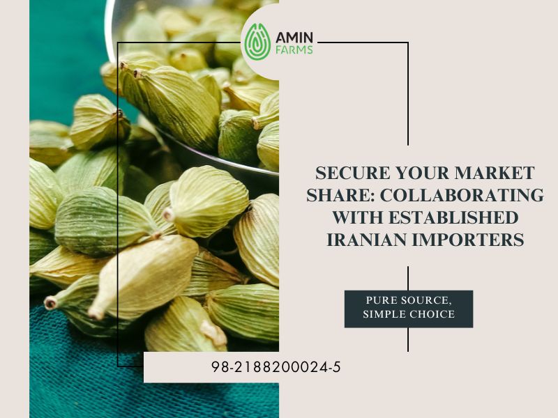 Secure Your Market Share Collaborating with Established Iranian Importers