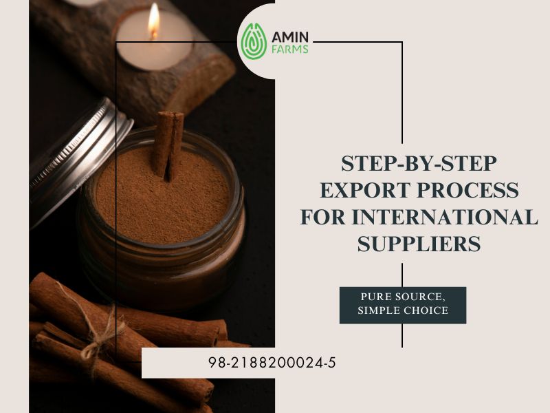Step-by-Step Export Process for International Suppliers