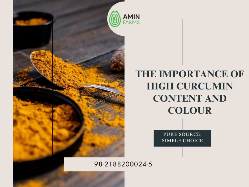 The Importance of High Curcumin Content and Colour