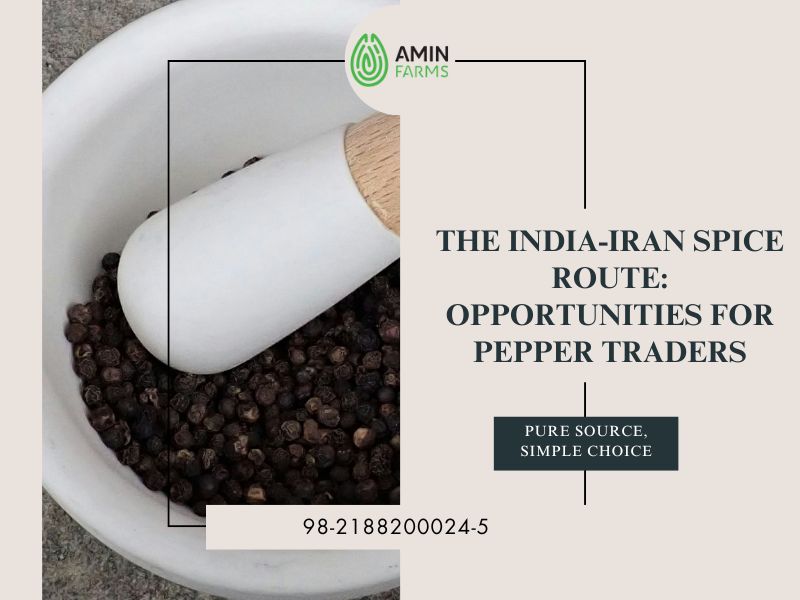 The India-Iran Spice Route Opportunities for Pepper Traders