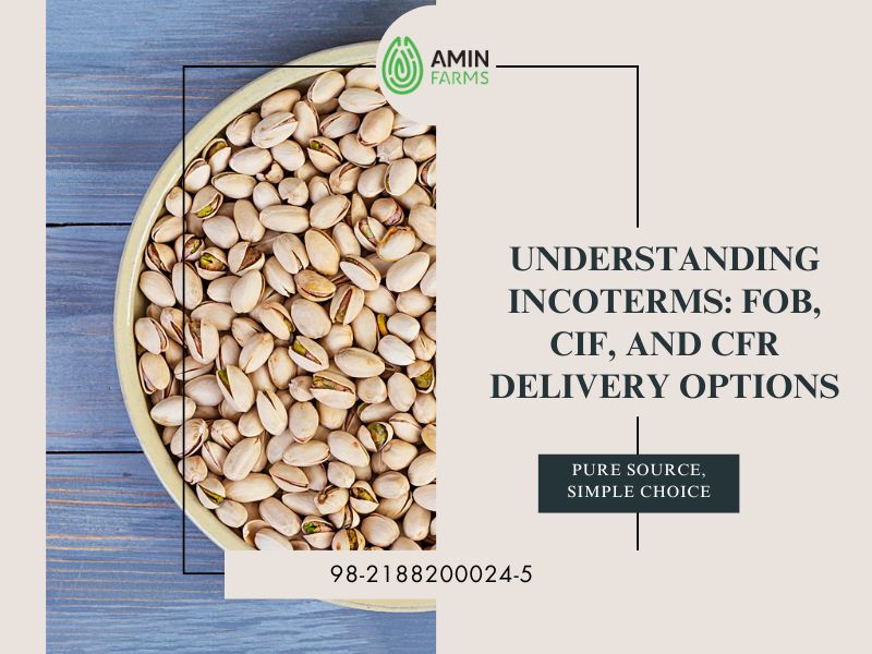Understanding Incoterms FOB, CIF, and CFR Delivery Options