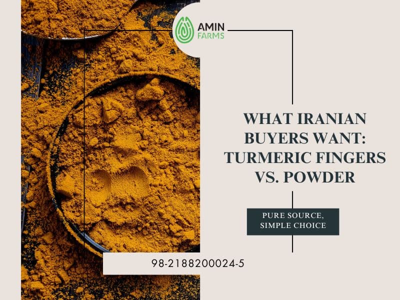 What Iranian Buyers Want Turmeric Fingers vs. Powder
