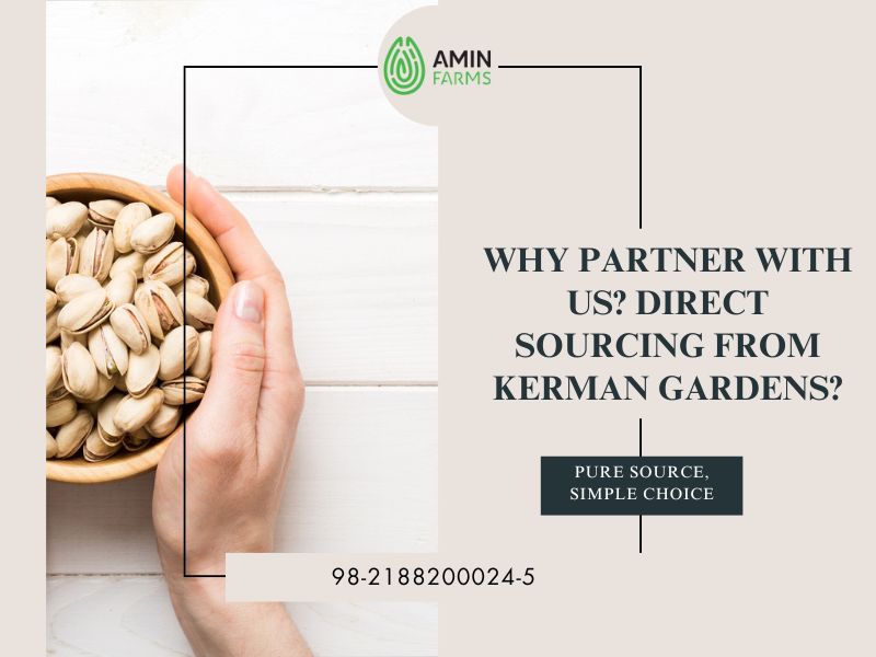 Why Partner With Us Direct Sourcing from Kerman Gardens