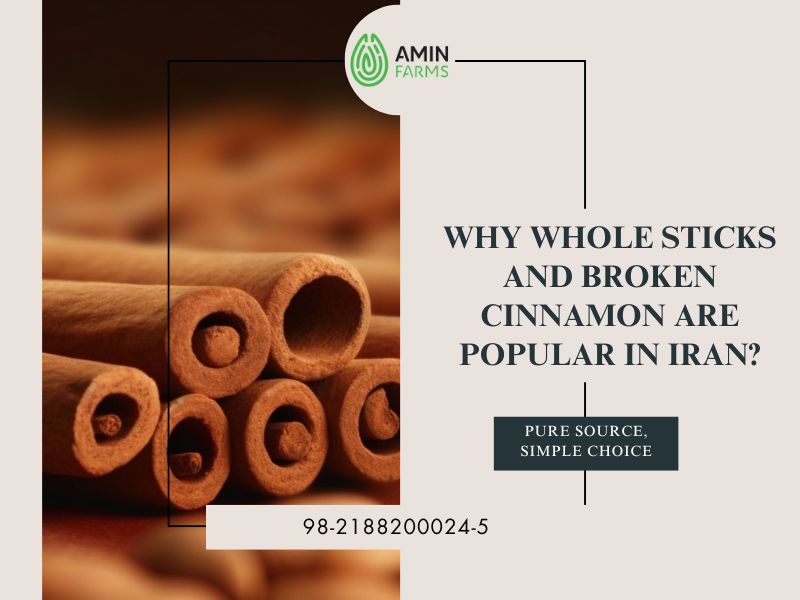 Why Whole Sticks and Broken Cinnamon are Popular in Iran