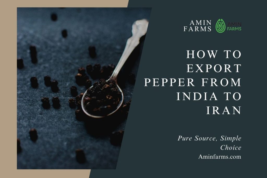 how to export pepper from india to Iran
