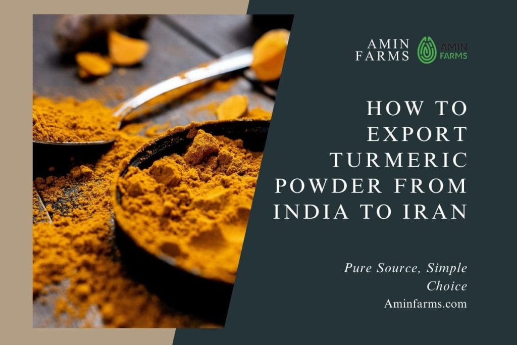 how to export turmeric powder from india to iran