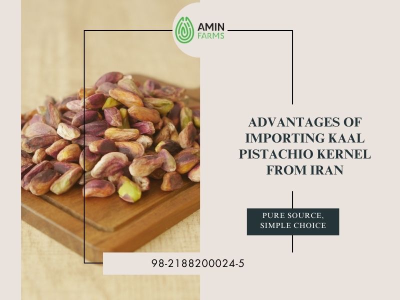 Advantages of Importing Kaal Pistachio Kernel from Iran