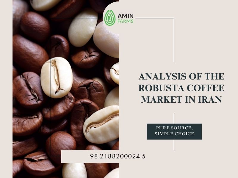 Analysis of the Robusta Coffee Market in Iran