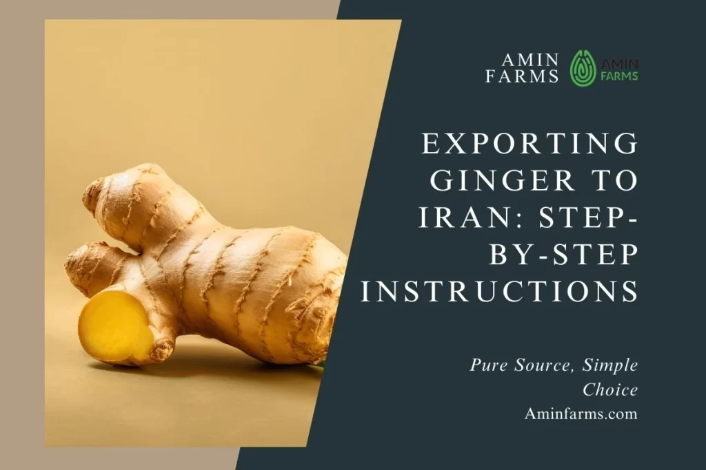 Exporting Ginger to Iran