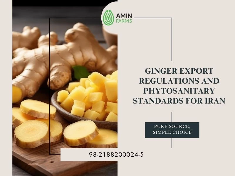 Ginger Export Regulations and Phytosanitary Standards for Iran