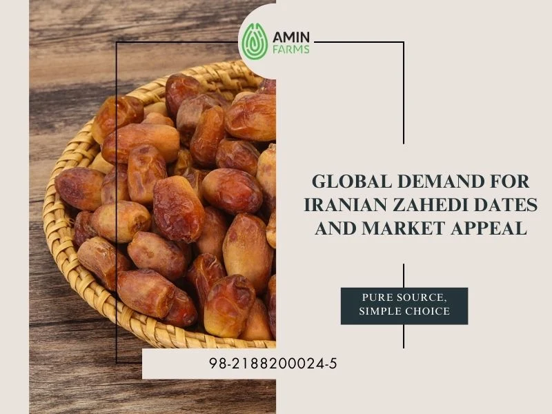 Global Demand for Iranian Zahedi Dates and Market Appeal
