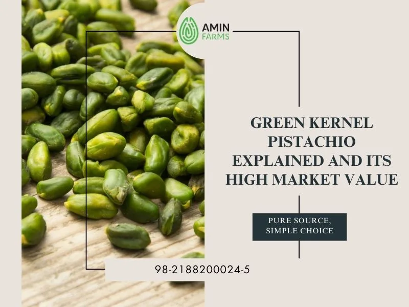 Green Kernel Pistachio Explained and Its High Market Value