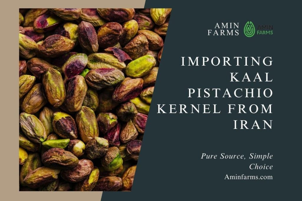 Importing Kaal Pistachio Kernel from Iran