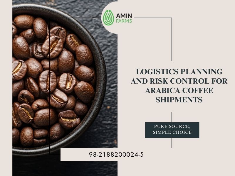 Logistics Planning and Risk Control for Arabica Coffee Shipments