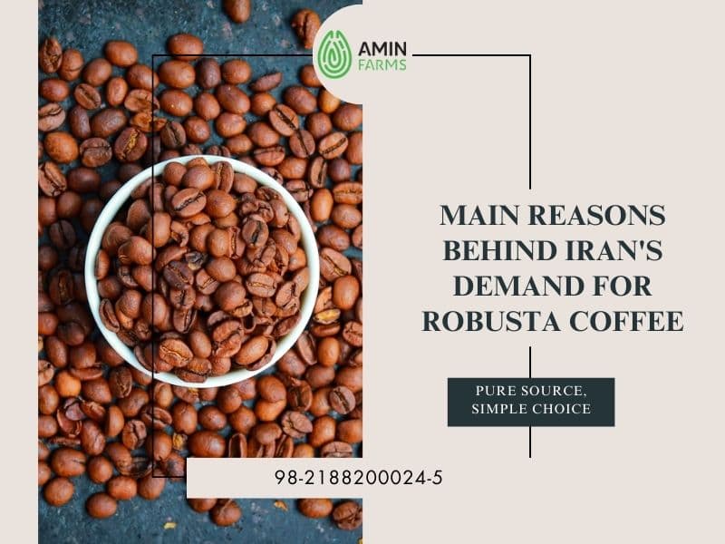 Main Reasons Behind Iran's Demand for Robusta Coffee