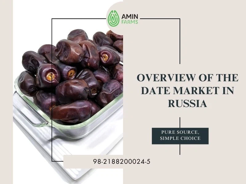 Overview of the Date Market in Russia
