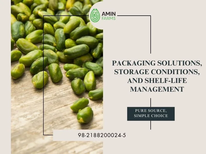Packaging Solutions, Storage Conditions, and Shelf-Life Management