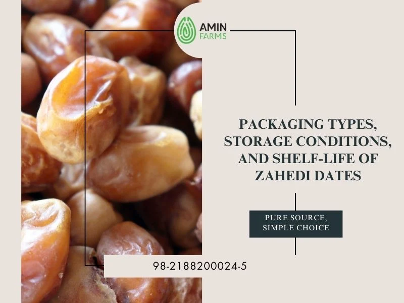 Packaging Types, Storage Conditions, and Shelf-Life of Zahedi Dates