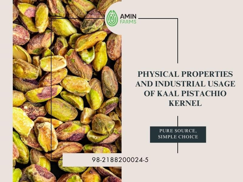 Physical Properties and Industrial Usage of Kaal Pistachio Kernel