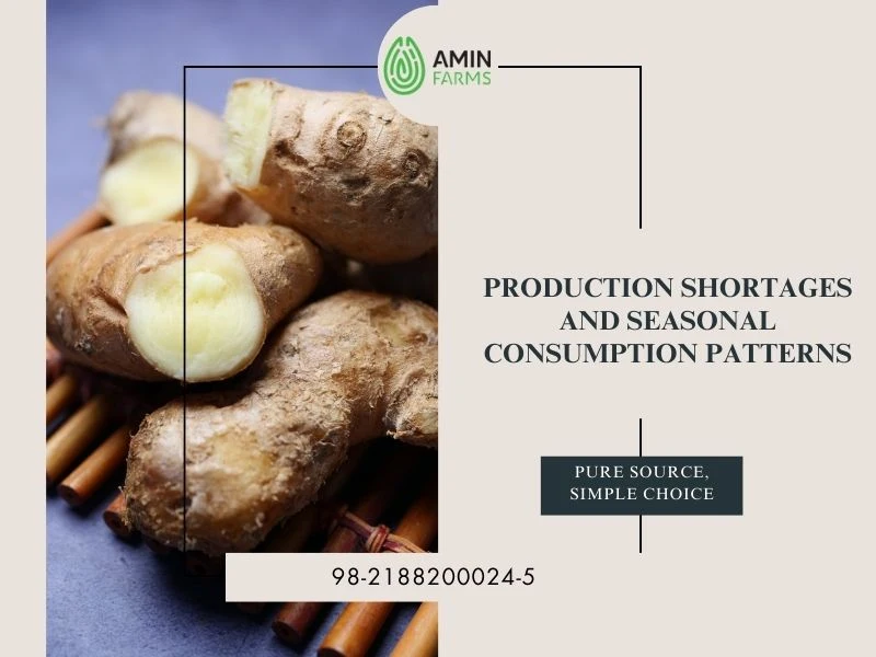 Production Shortages and Seasonal Consumption Patterns