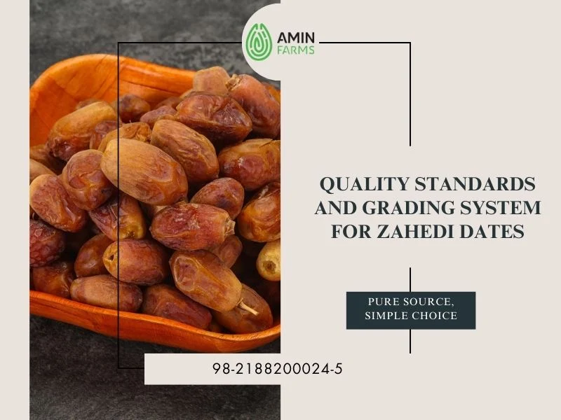 Quality Standards and Grading System for Zahedi Dates